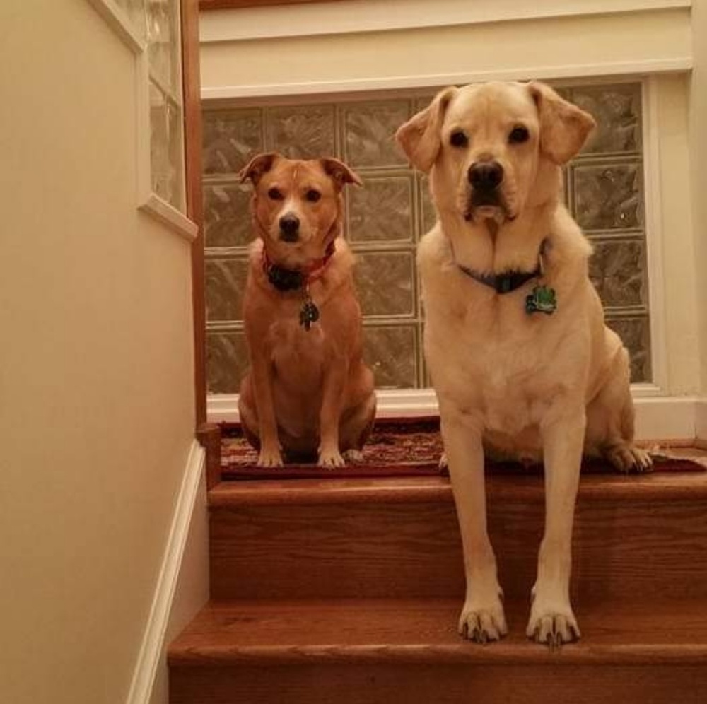 Meet your Posher, Donnette